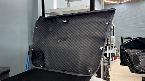 Шумоизоляция дверной обшивки Шкода Рапид